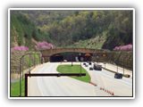 KY Portal April 2010 - CGTA Photo